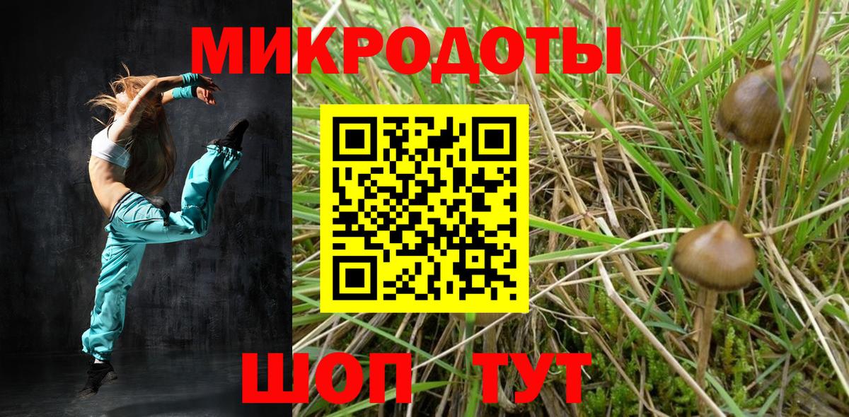 Ейск  Галлюциногенные грибы Psilocybine cubensis  Вход с VPN 