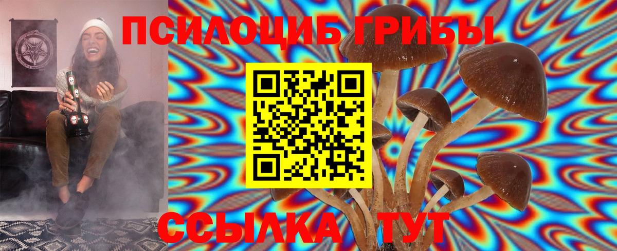 Псилоцибиновые грибы Psilocybine cubensis Ейск